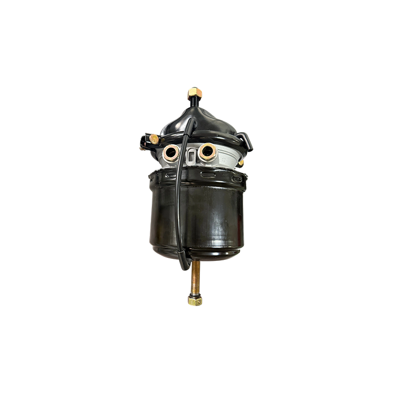 Камера T2424DP короткий с Voss